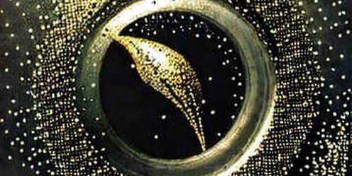 The OKX Semi-Annual Report: A Signal, Not a Summary The OKX Semi-Annual Report: A Signal, Not a Summary