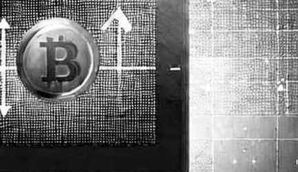 The Profit Mirage: Why Record Crypto Revenues Mask a Dangerous Concentration Risk The Profit Mirage: Why Record Crypto Revenues Mask a Dangerous Concentration Risk
